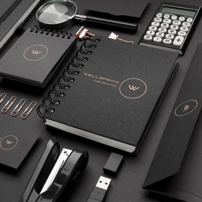 wellspring ddc copy (1) (1)